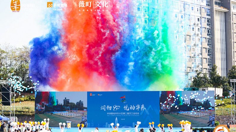 品牌策划定制服务：揭秘收费标准背后的逻辑